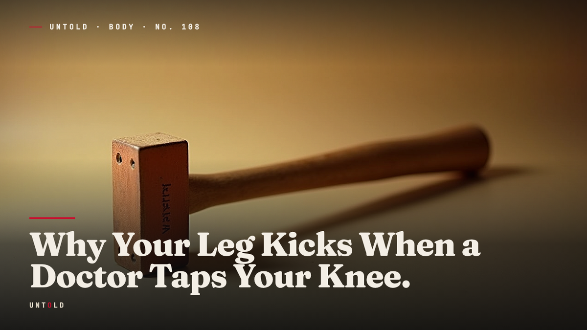 The Fastest Decision Your Body Makes Without You
