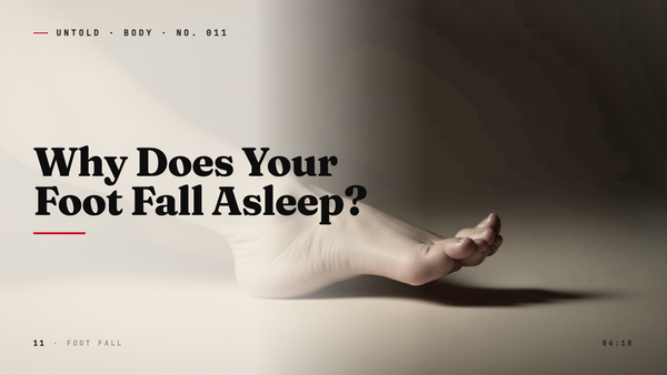 The Quiet Mutiny of a Sleeping Foot
