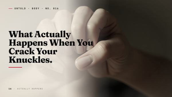 The Hundred-Year Argument Hiding in Your Hands