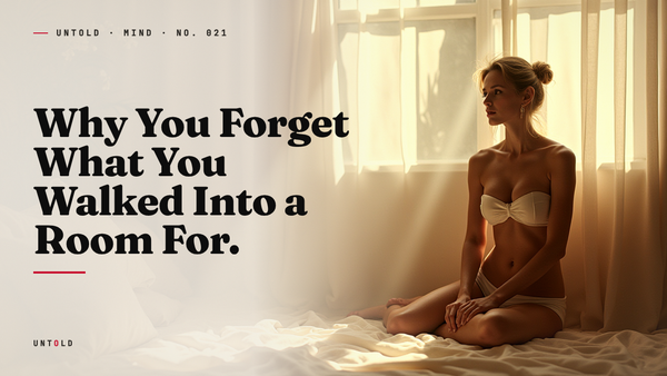 The Architecture of Forgetting