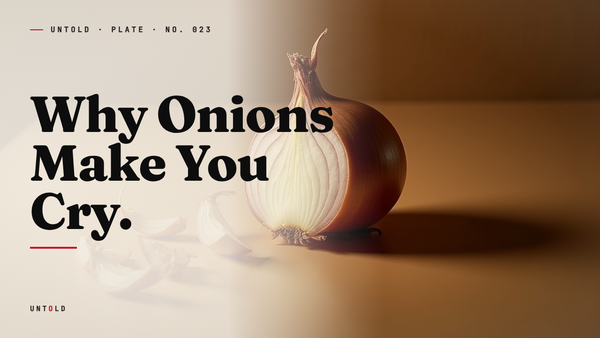 The Onion's Defense, and the Tears It Costs You