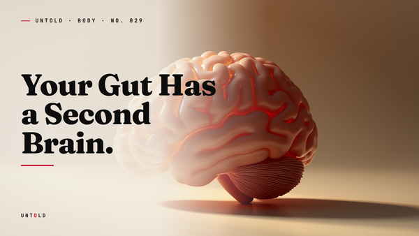 The Brain You Were Never Introduced To