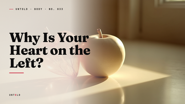 The Spinning Hair That Decided Which Way Your Heart Points