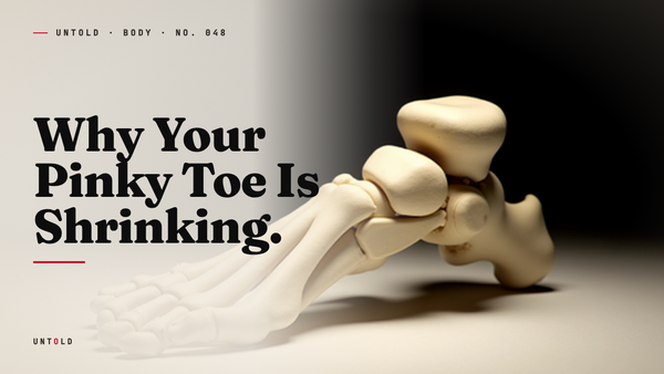 The Toe That Forgot Its Purpose