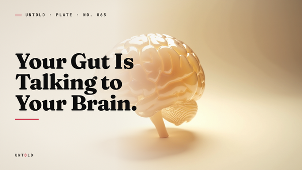 The Second Brain in Your Belly