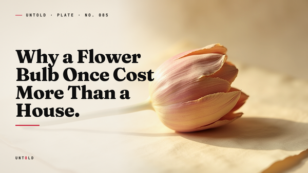 The Winter a Flower Was Worth More Than a Mansion