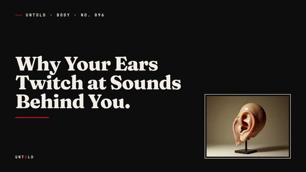 The Ear That Still Tries to Turn