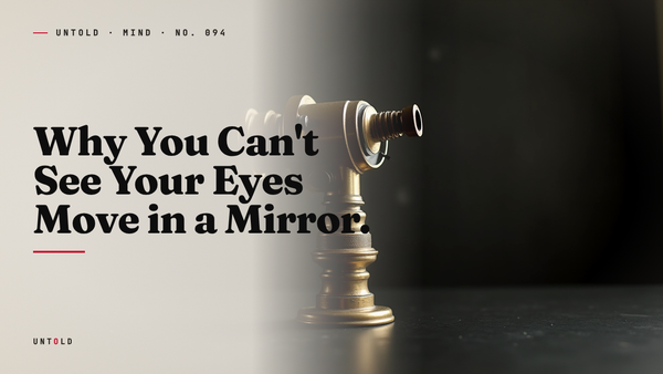 The Half-Second Your Brain Refuses to Show You