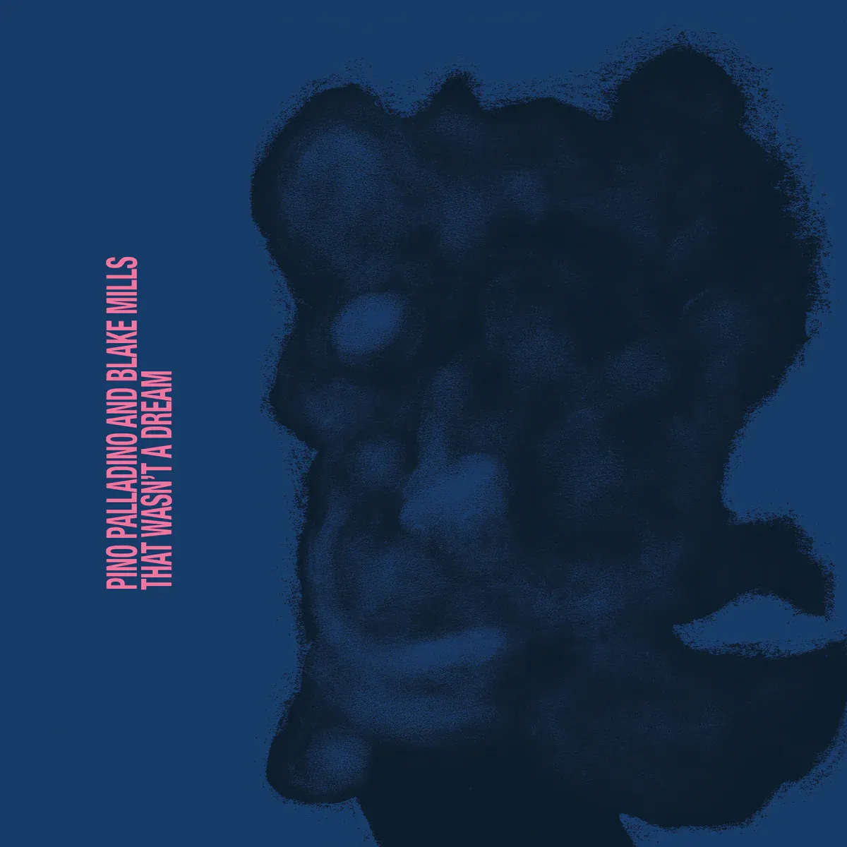 Pino Palladino & Blake Mills: That Wasn't A Dream