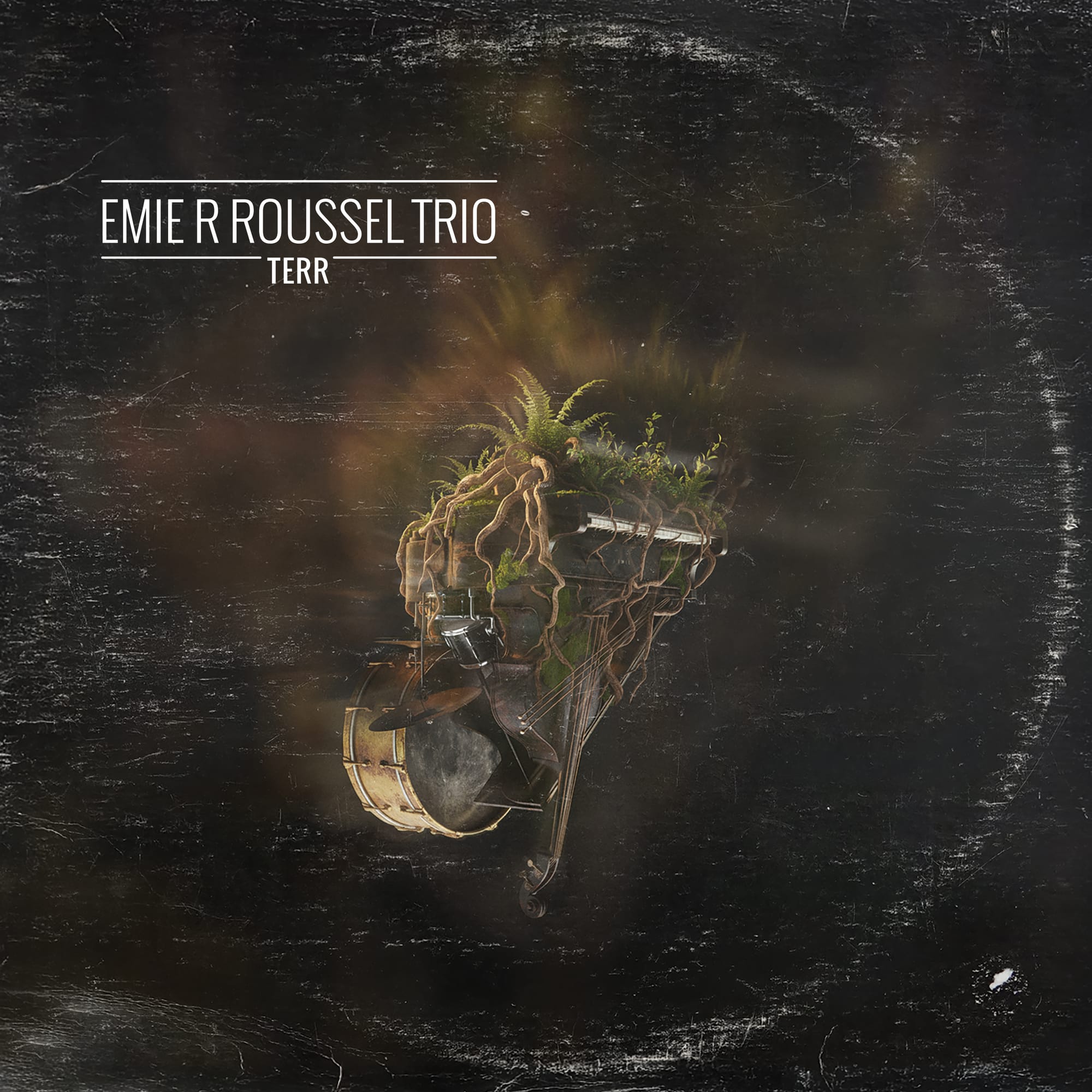 TERR cover
