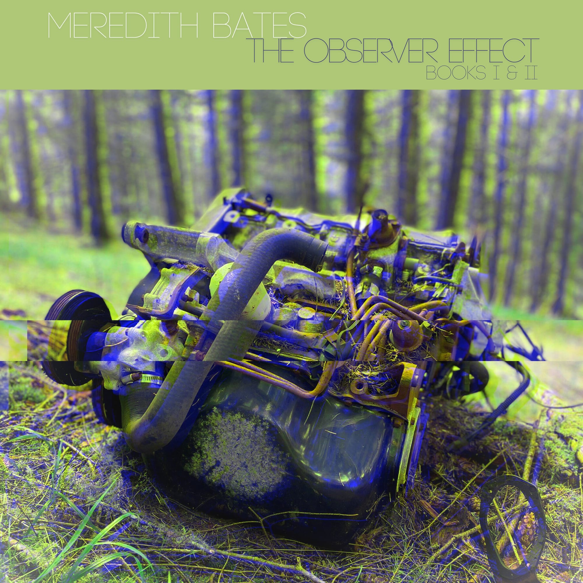 The Observer Effect - Books I & II cover