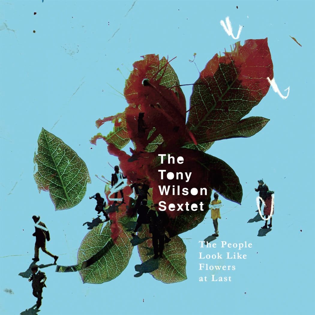 The People Look Like Flowers at Last cover