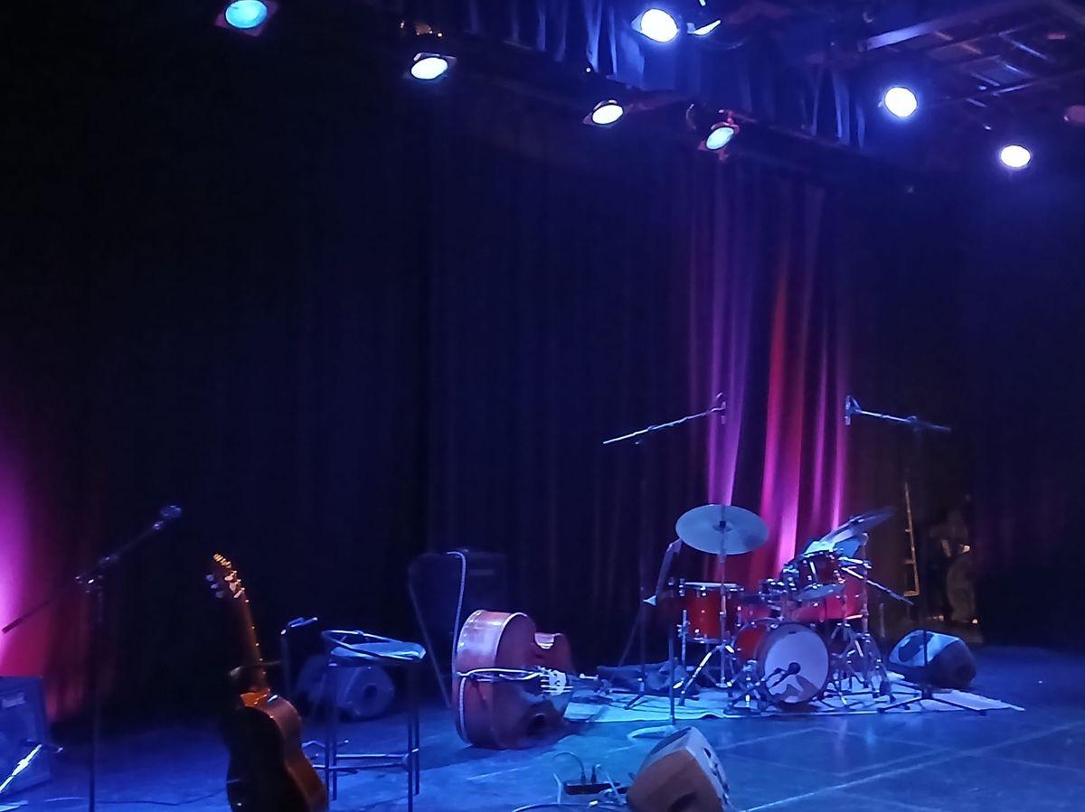 Fareed Haque Trio at the Revue Stage