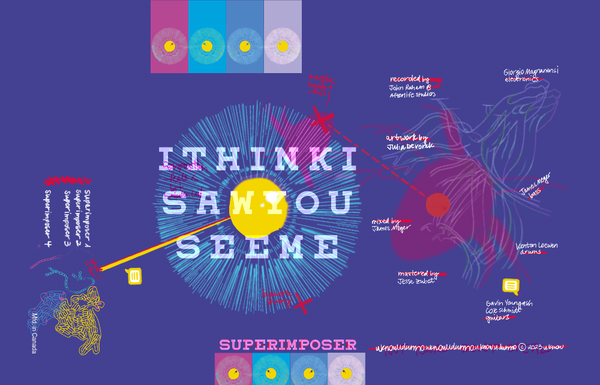 I Think I Saw You See Me art