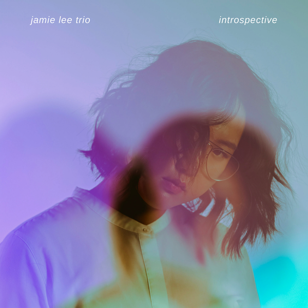 Introspective cover