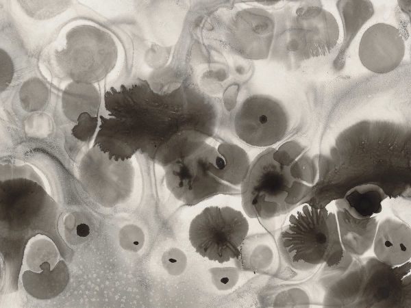 Julia Úlehla and Dálava cover art