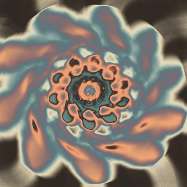 Why Mushrooms, Part 2 “Why am I still talking about this?”