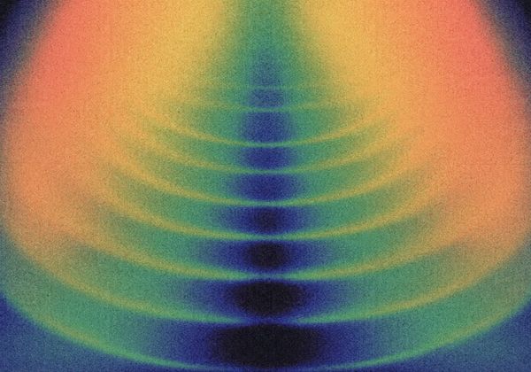 Why Mushrooms, Part 5: They really are THAT safe.