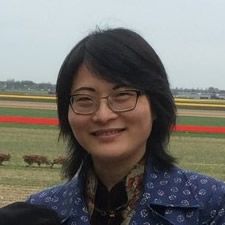 Dr Tao Zhang profile image