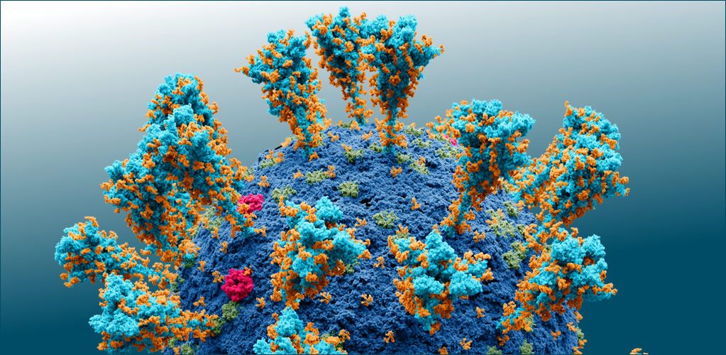 Wikipedia/Alexey Solodovnikov – Valeria Arkhipova