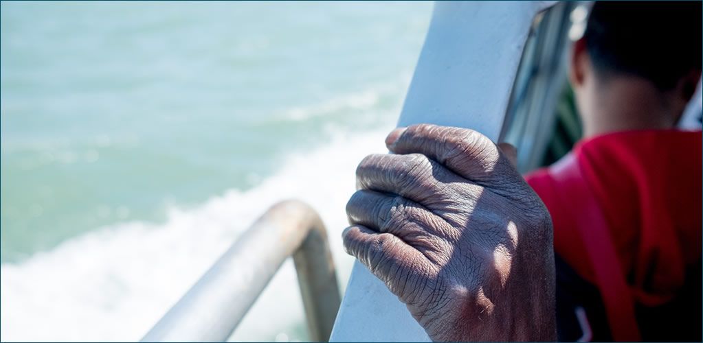 Dreamstime/davide bonaldo