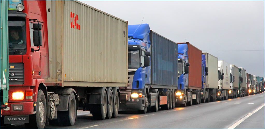 Credit: Adobe Stock/art_zzz