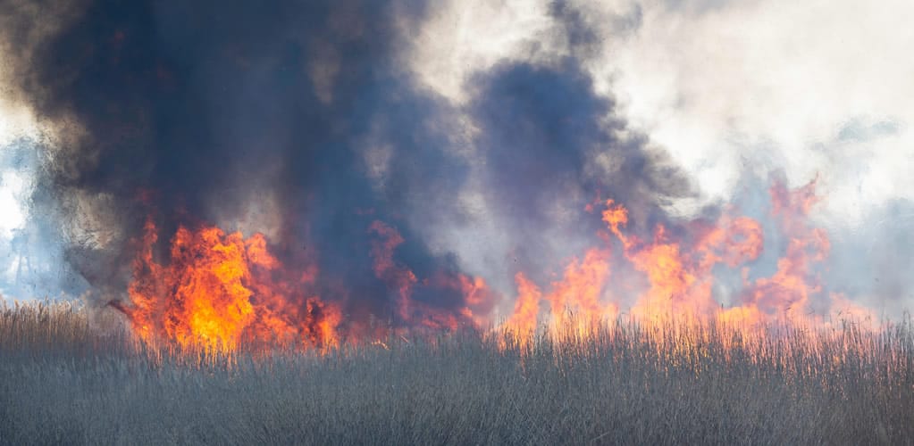 Despite the climate crisis, Scotland is burning as much carbon-rich peatland as it did in the 1980s