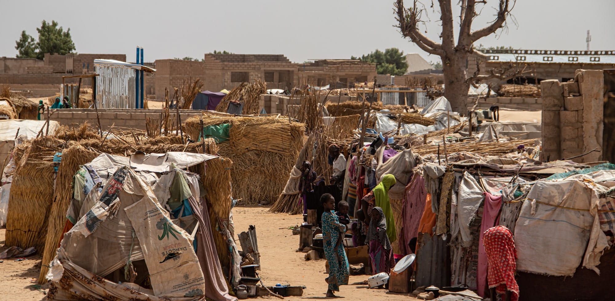 Why has Sudan descended into mass slaughter? The answer goes far beyond simple ethnic conflict
