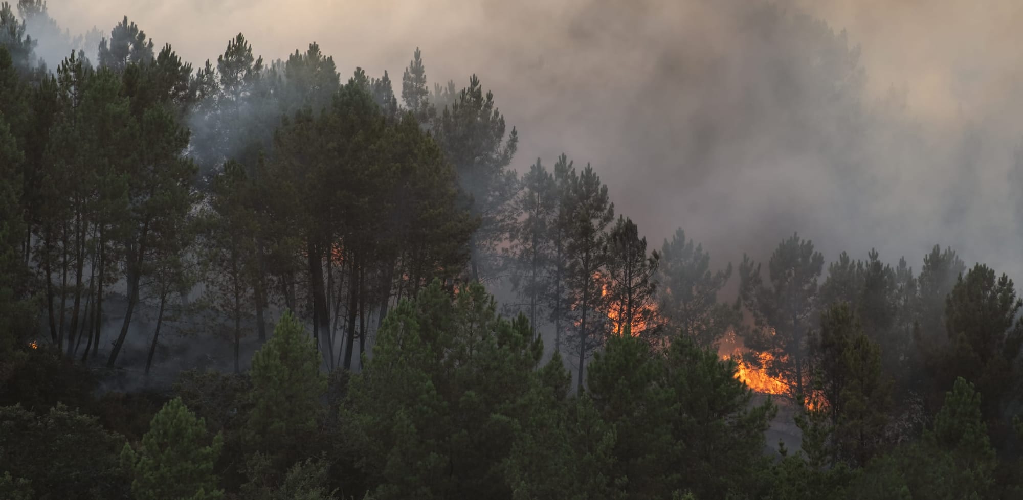 What is fuelling the wildfires in France and Spain?