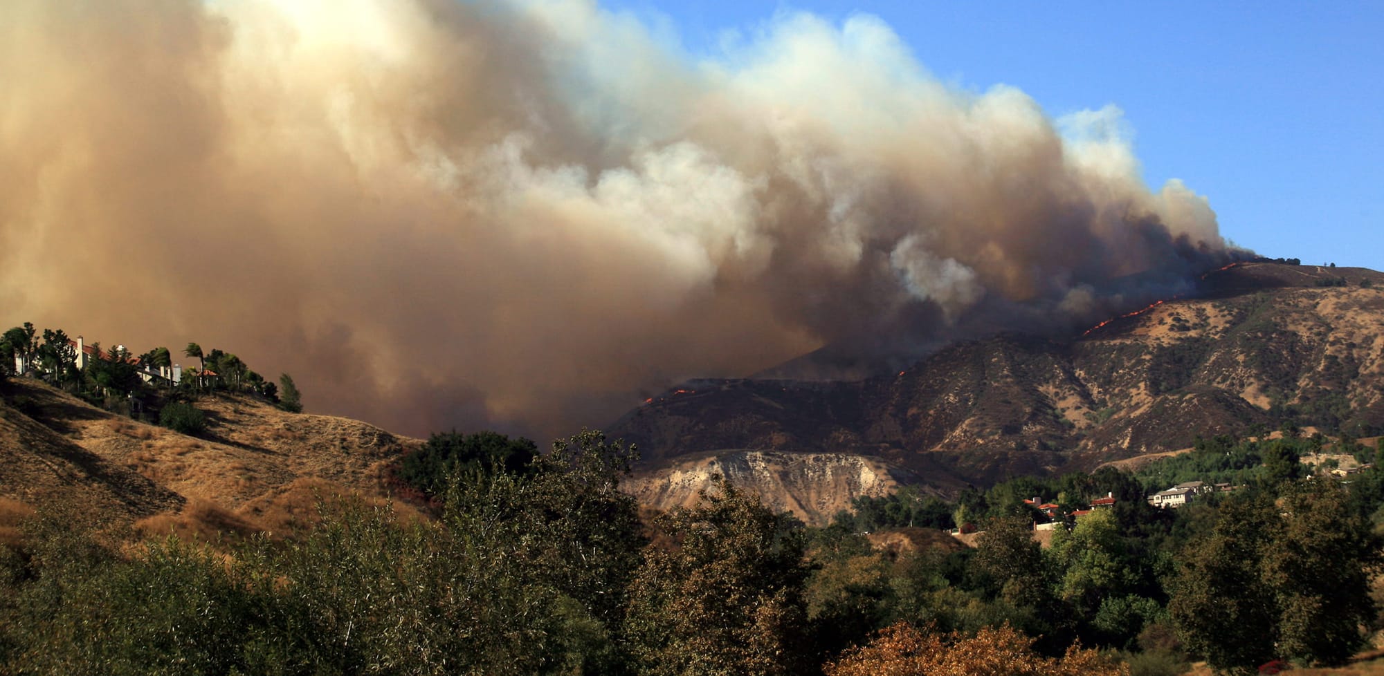 Over 75% of UK wetlands have been destroyed – restoring them would help prevent wildfires
