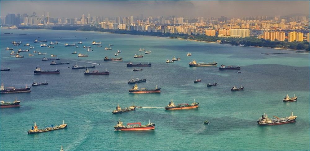 Overseas trade has a hidden environmental ‘disaster footprint’. post image