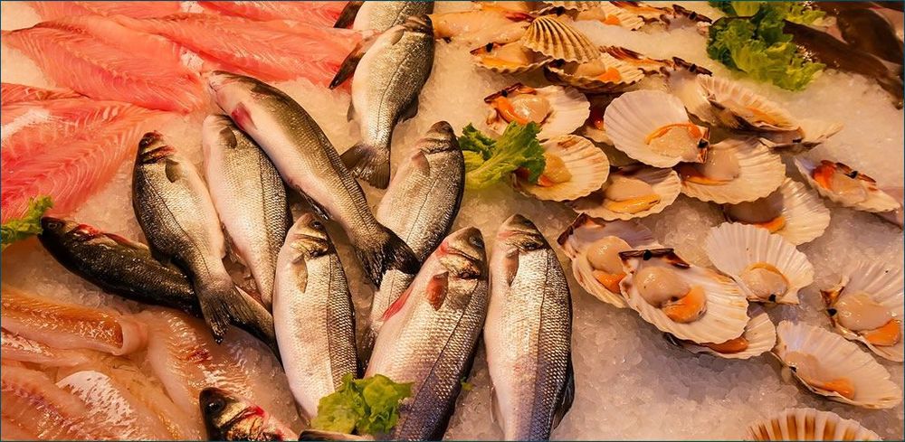 Fishy arguments. post image