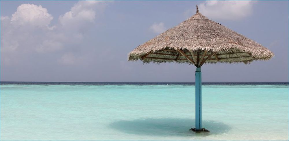 Either we kill coal or coal will kill us. post image