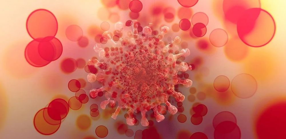 Far too early to say we don’t need to worry about omicron and hospitalisations. post image