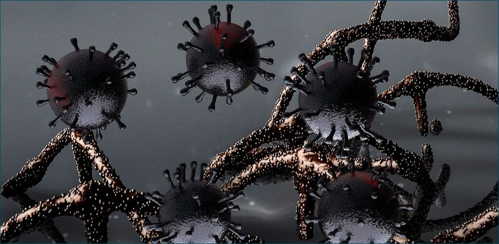 COVID-19 SAGE update, 13 Jan 2022. post image