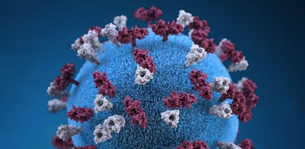 Omicron XE is spreading in the UK – A virologist explains what we know about this hybrid variant. post image