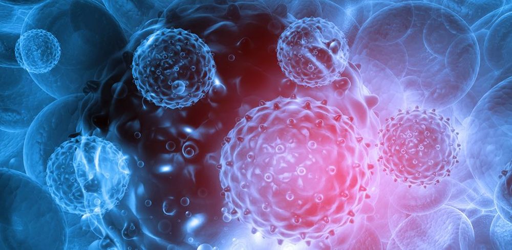 Monkeypox – We need to understand more about the transmission dynamics. post image