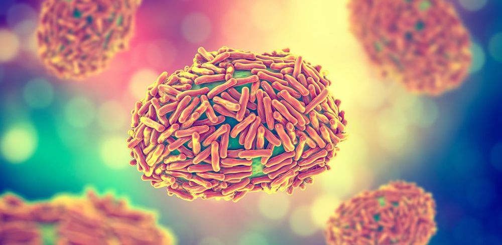 Monkeypox may not mutate as fast as coronaviruses, but that doesn’t mean it can’t adapt to its new hosts. post image