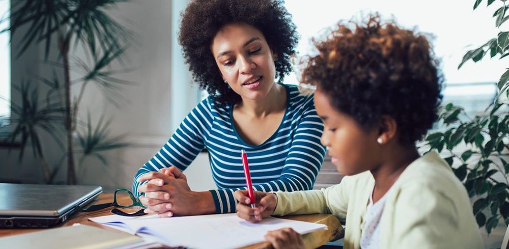 The Schools Bill: An attack on home-schooling that hurts children the most. post image