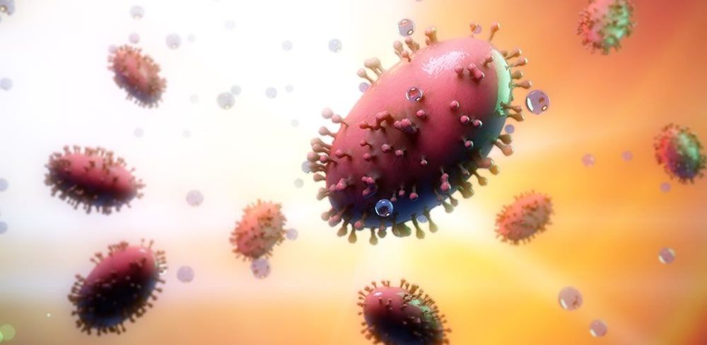 Monkeypox: An expert explains what we need to know. post image