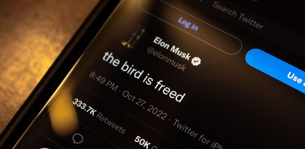 Twitter and Elon Musk: Why free speech absolutism threatens human rights post image