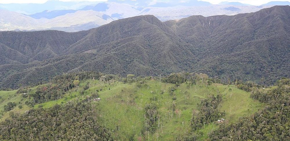 Rainforest offset credits likely to be “phantom credits” post image