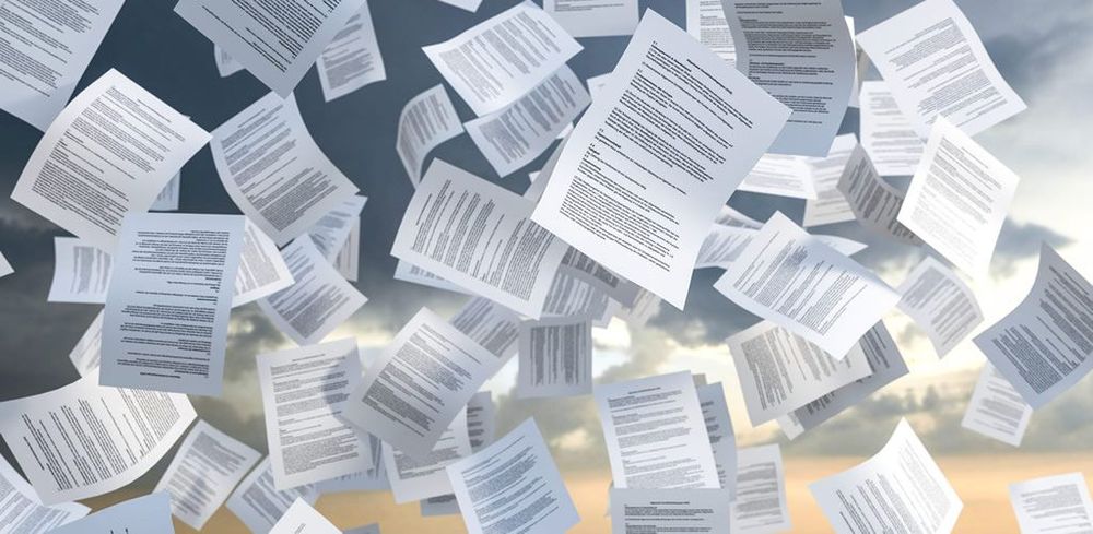 Trump Biden documents reveal a true American democracy dysfunction post image