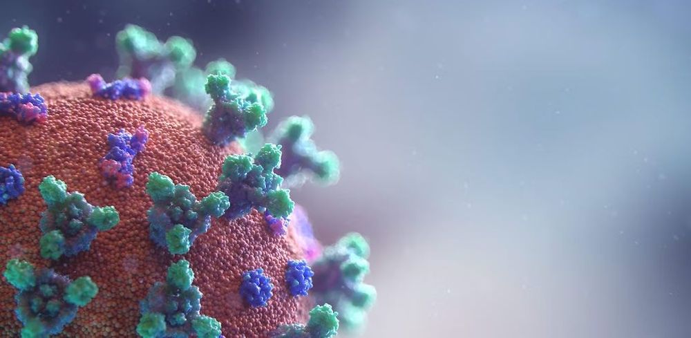 Latest COVID 🦠 post image