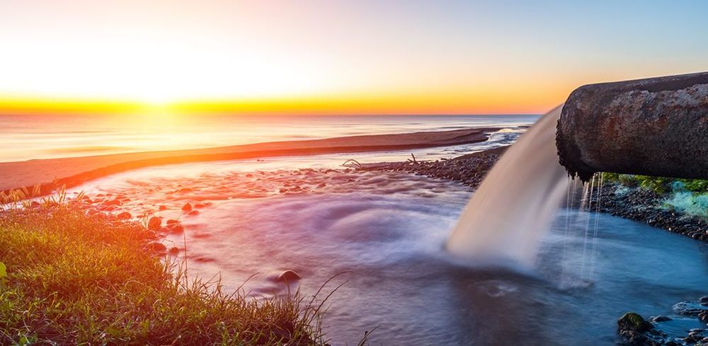 The Public Trust Doctrine: An ancient legal principle which could protect our environment now and for future generations post image