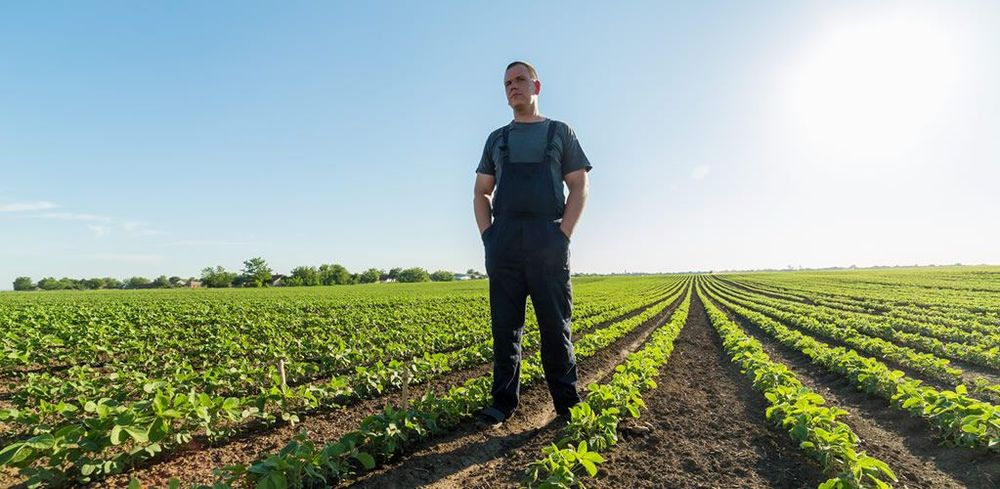 Food prices are rising but farmers’ profits are still small post image