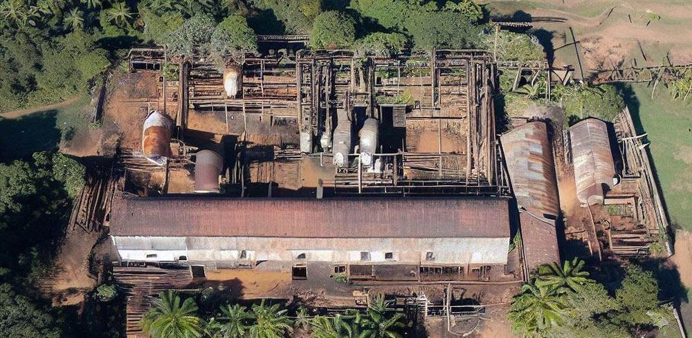 Brazil reports fatal case of swine flu virus (H1N1) post image