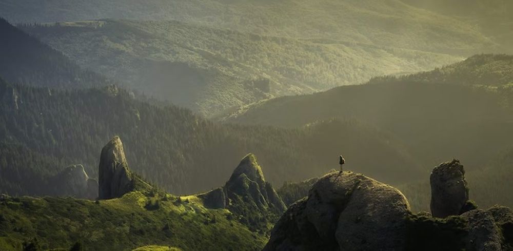 Let’s protect nature, but not merely for the sake of humans post image