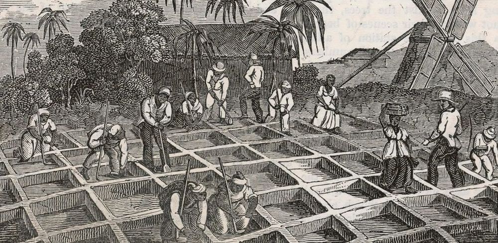 Tory MP’s historic family links to slavery raise questions about Britain’s position on reparations post image