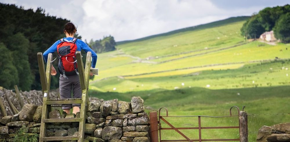 What a Labour government would mean for the right to roam post image